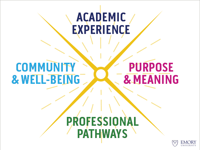 Academic Experience, Purpose and Meaning, Professional Pathways, Community and well-being
